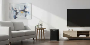 Best air purifier for mold - Honeywell HPA300