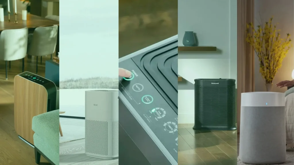 best air purifier for mold