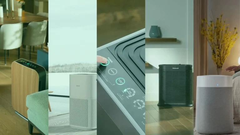 best air purifier for mold