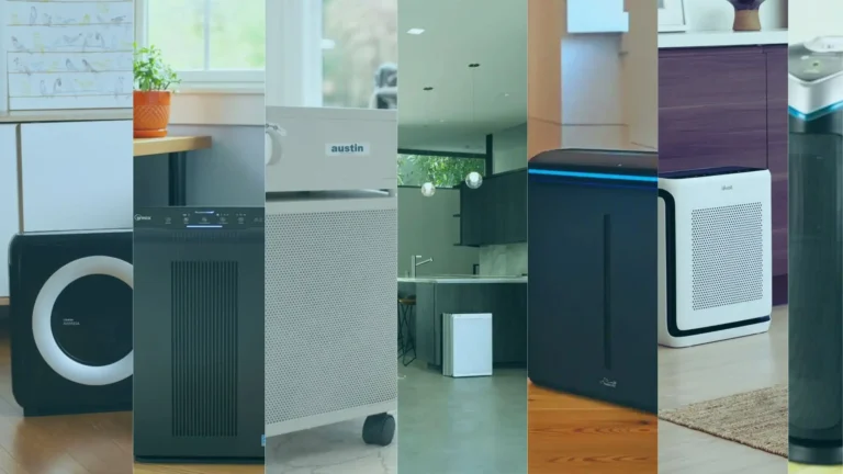 best air purifiers for pets